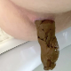 A woman is recorded shitting into a toilet from an under ass perspective in 2 scenes. Nice, firm, long logs in both scenes. Presented in 720P HD. About 2 minutes.